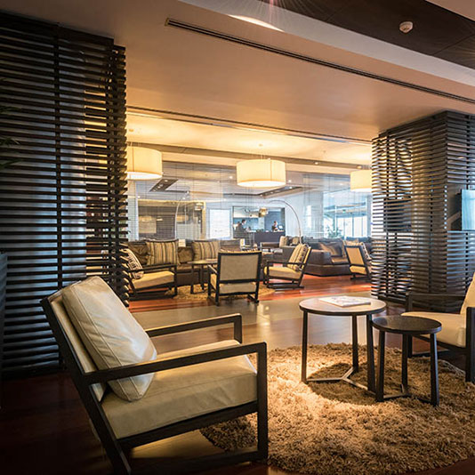 Individual access | VIP Lounge Arrivals